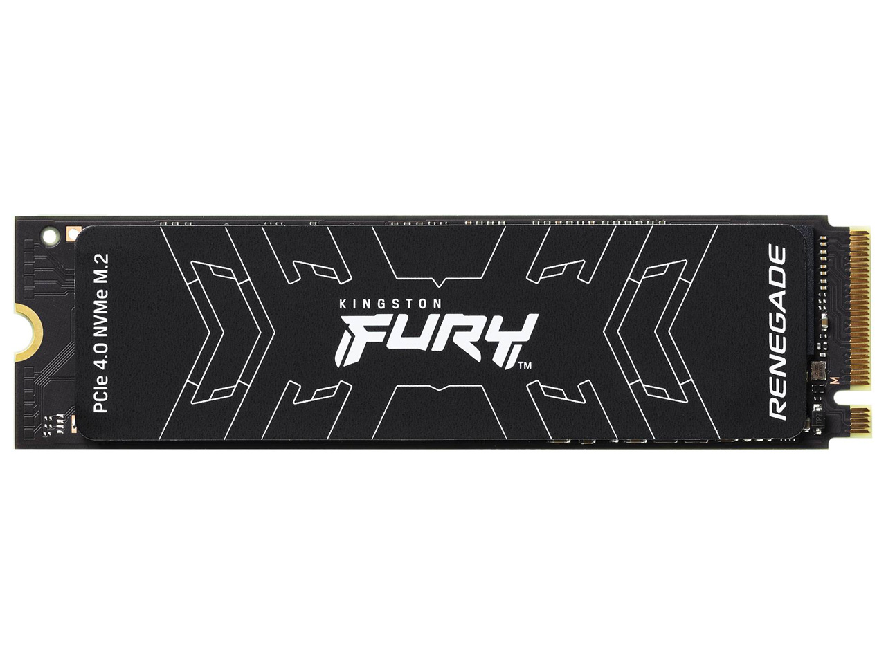 FURY Renegade SSD SFYRS/1000G �̐��i�摜