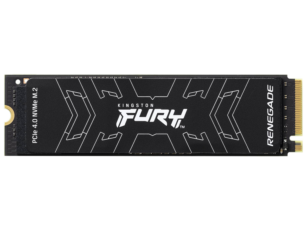 FURY Renegade SSD SFYRD/2000G �̐��i�摜