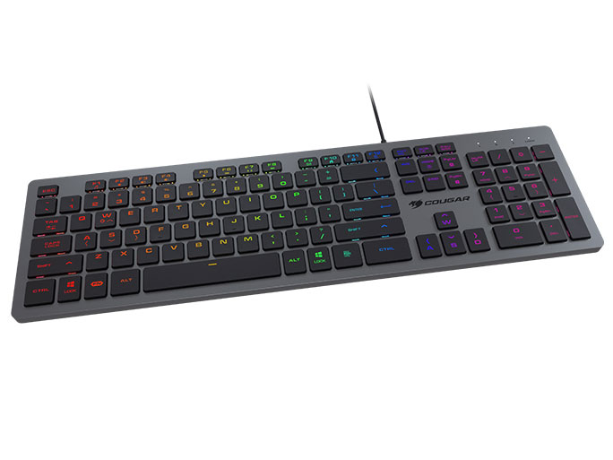 VANTAR AX Black CGR-WRXMI-VAB [BLACK]