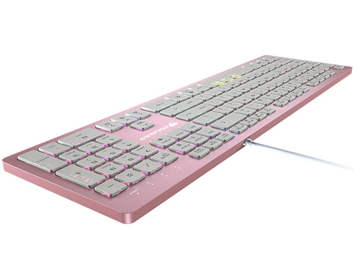 VANTAR AX Pink CGR-WRXMX-VAP [PINK]