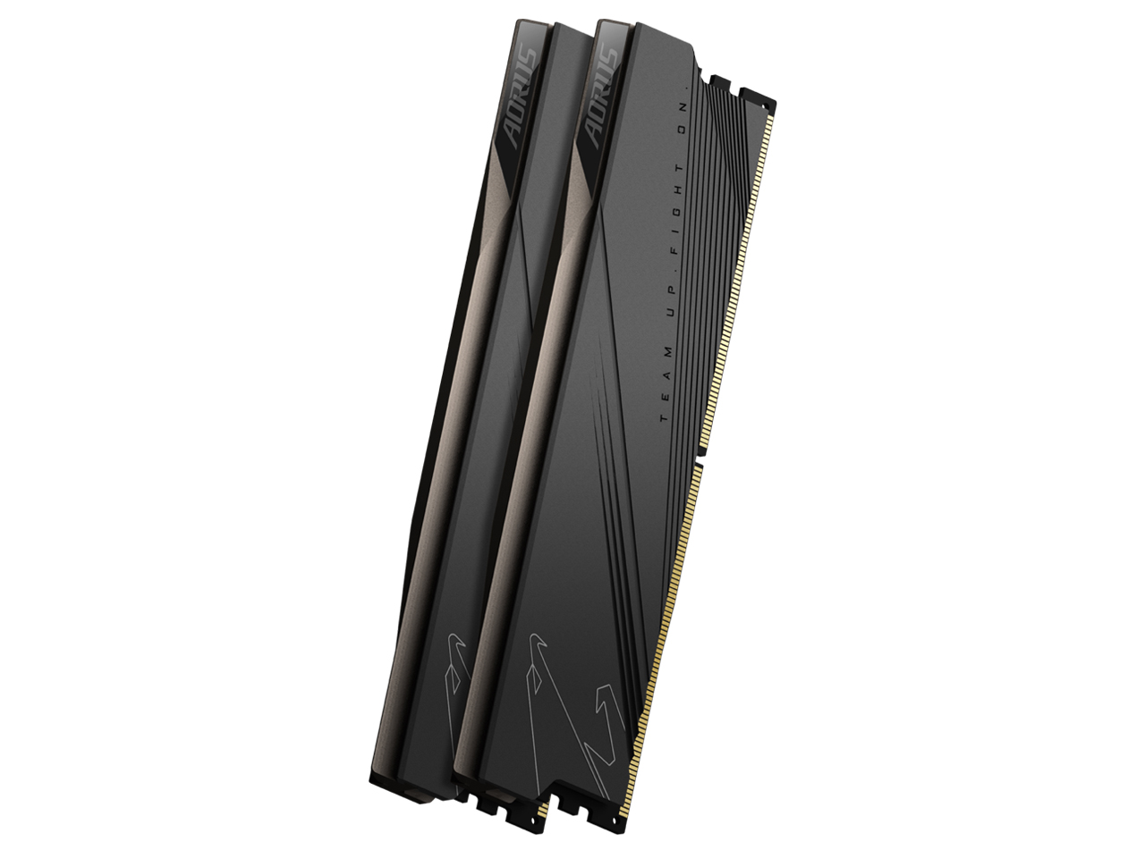 AORUS GP-ARS32G52D5 [DDR5 PC5-41600 16GB 2���g] �̐��i�摜