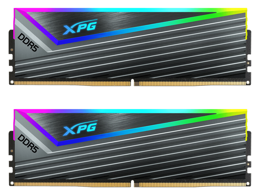 AX5U6000C4016G-DCCARGY [DDR5 PC5-48000 16GB 2���g] �̐��i�摜