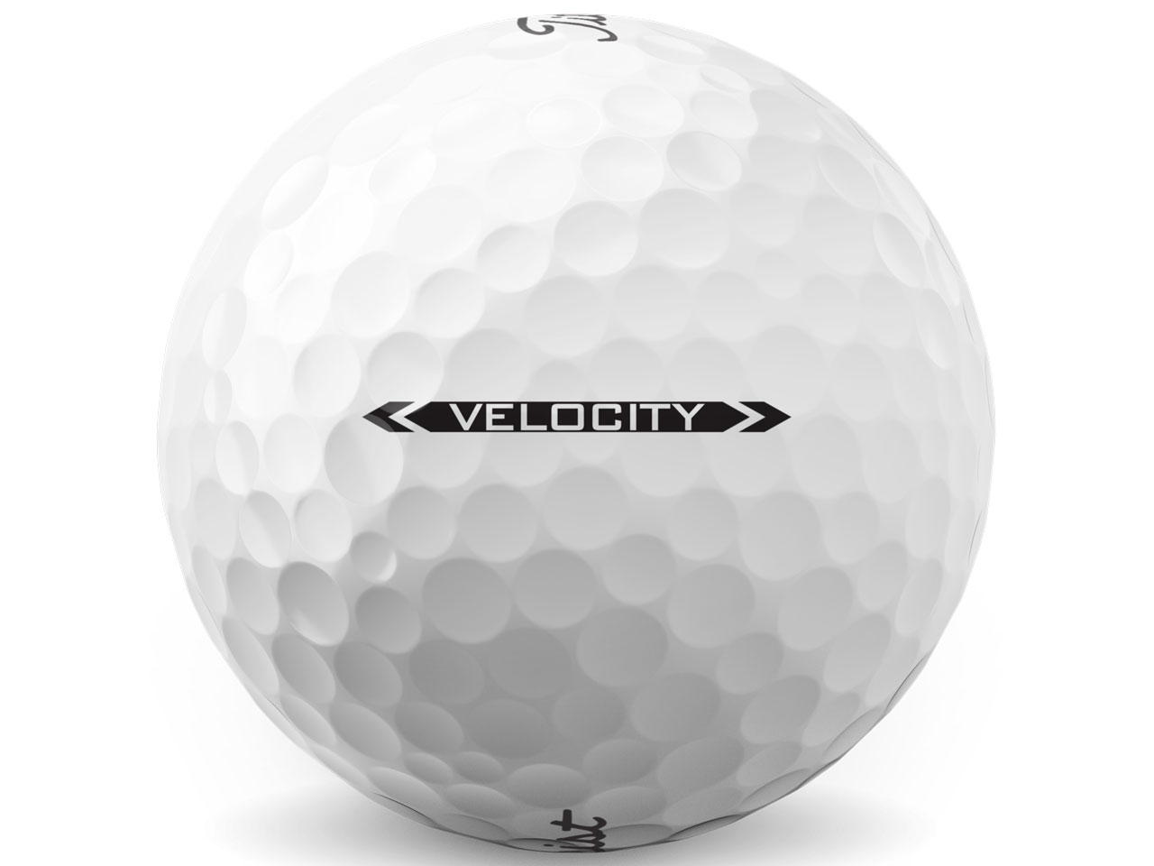 VELOCITY 2022�N���f�� [�z���C�g]