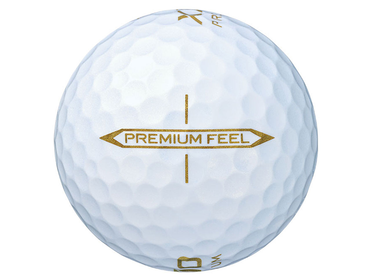 �[�N�V�I �v���~�A�� 2022�N���f�� [���C�����S�[���h]