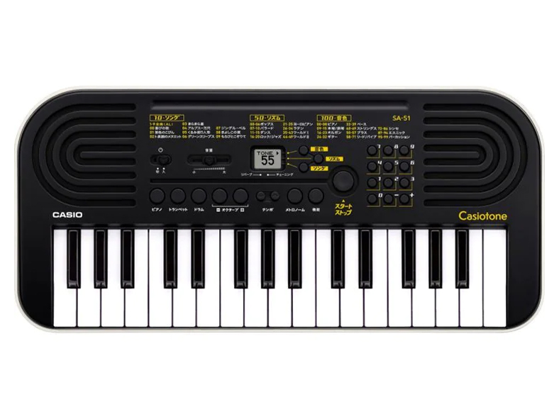 Casiotone SA-51 [�u���b�N×���C�g�O���[] �̐��i�摜