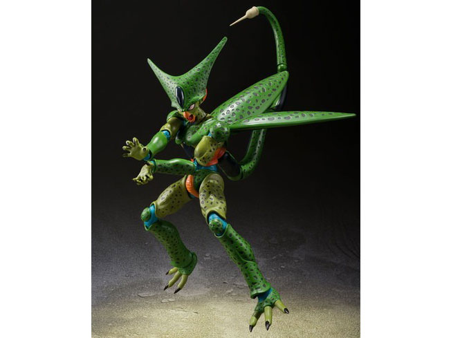 S.H.Figuarts �Z�� ���`��