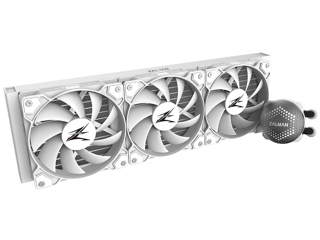 ALPHA 36 [White]