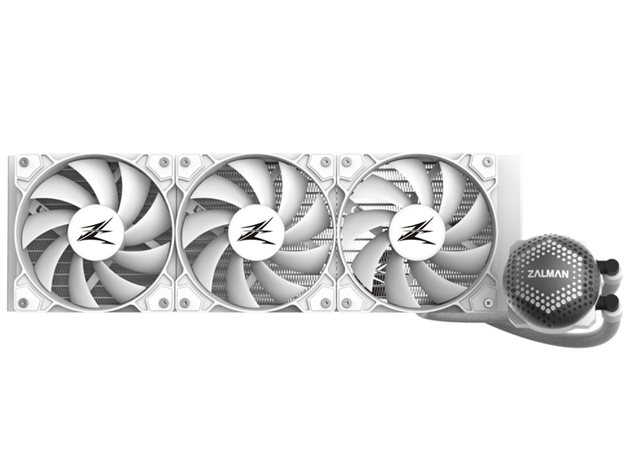 ALPHA 36 [White]