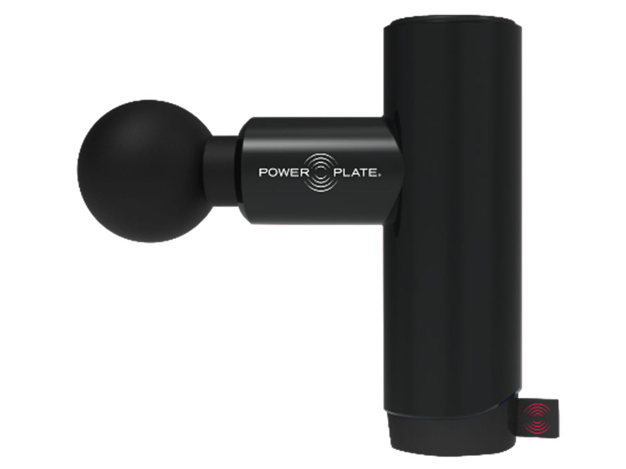 プロティア ジャパン POWER PLATE PULSE MINI+ S070810315 価格