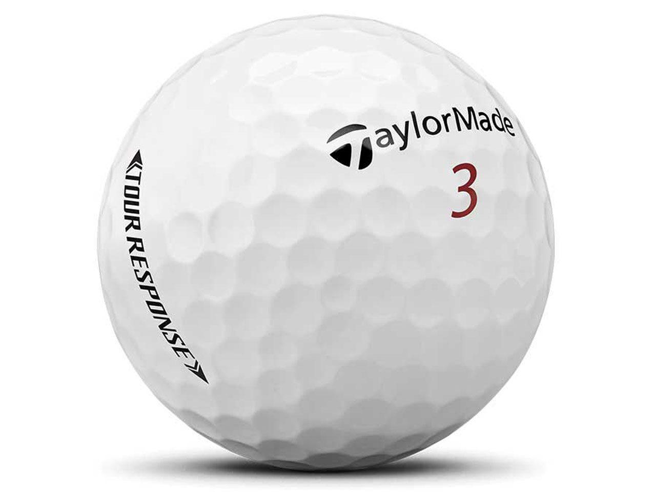 TOUR RESPONSE 2022�N���f��