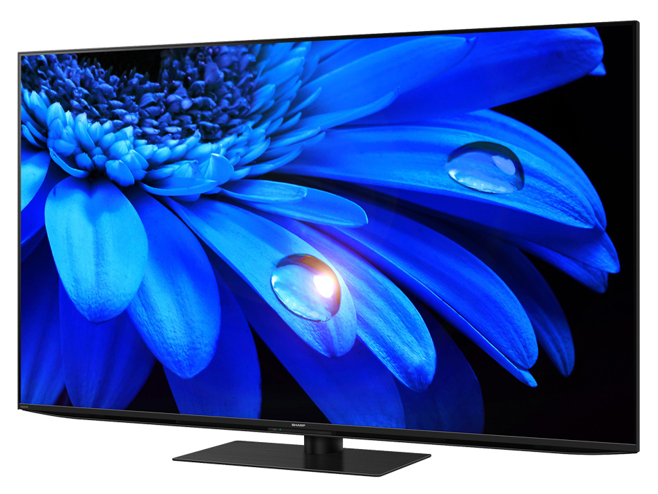 AQUOS 4K 4T-C65EU1 [65�C���`]