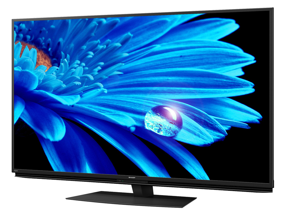AQUOS 4K 4T-C55EN1 [55�C���`]