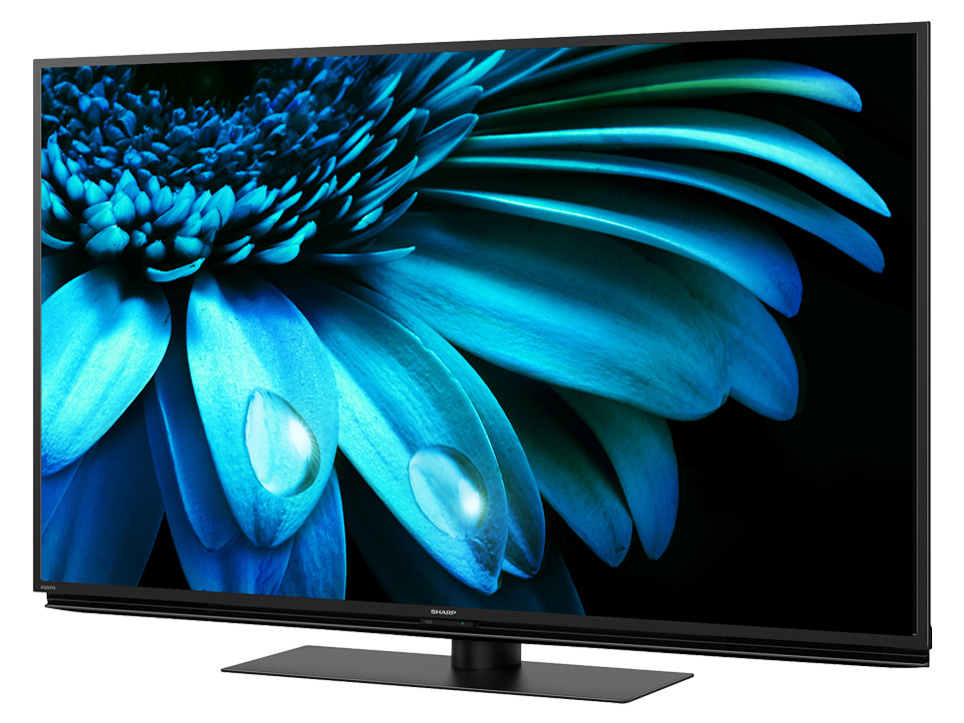 AQUOS 4K 4T-C50EL1 [50�C���`]