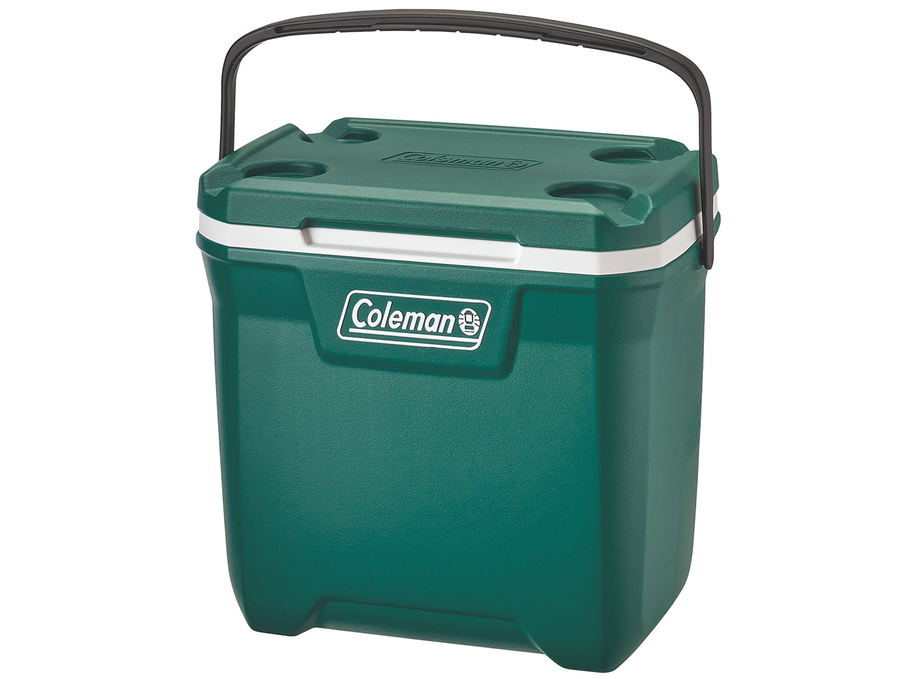 �G�N�X�g���[���N�[���[/28QT 2000037321 [�G�o�[�O���[��] �̐��i�摜