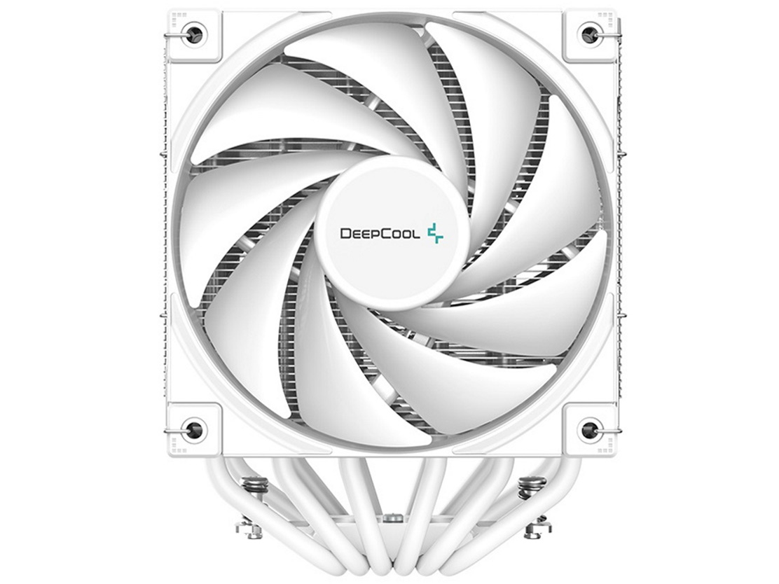 AK620 WH R-AK620-WHNNMT-G-1 [�z���C�g]