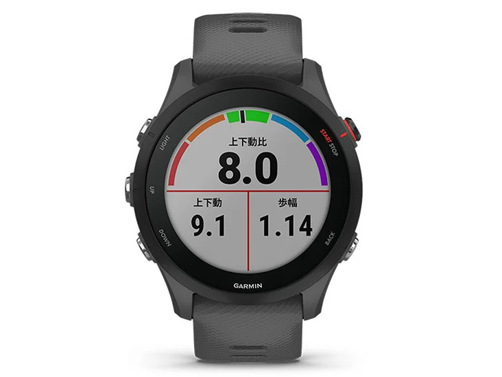 Forerunner 255 010-02641-42 [Slate Grey]