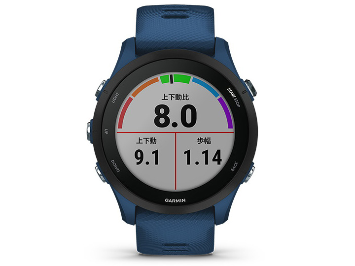 Forerunner 255 010-02641-52 [Tidal Blue]