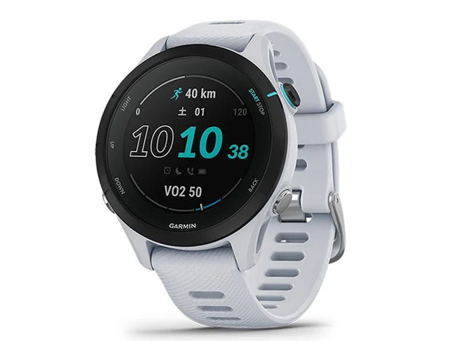 ガーミン255 Garmin Forerunner® 255 | Running Smartwatch