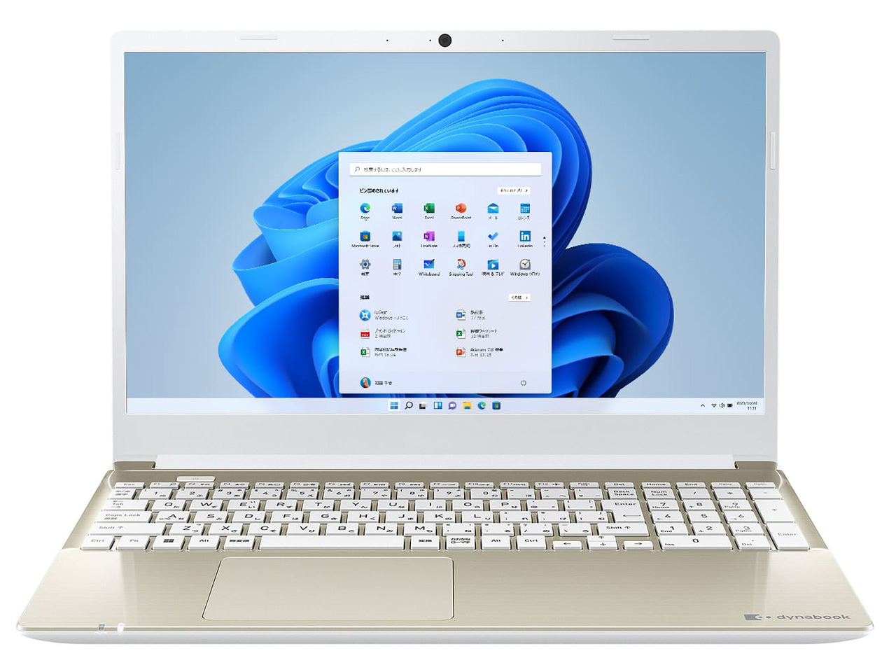 dynabook C6 P1C6VPEG [�T�e���S�[���h]