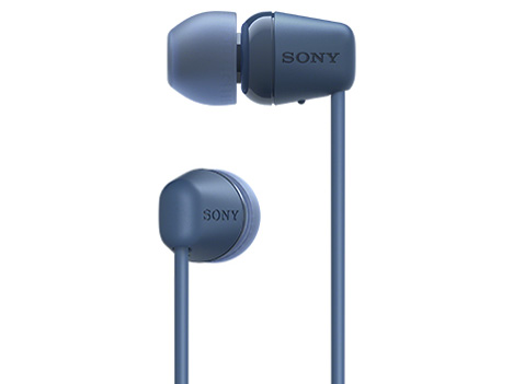 WI-C100 (L) [�u���[]