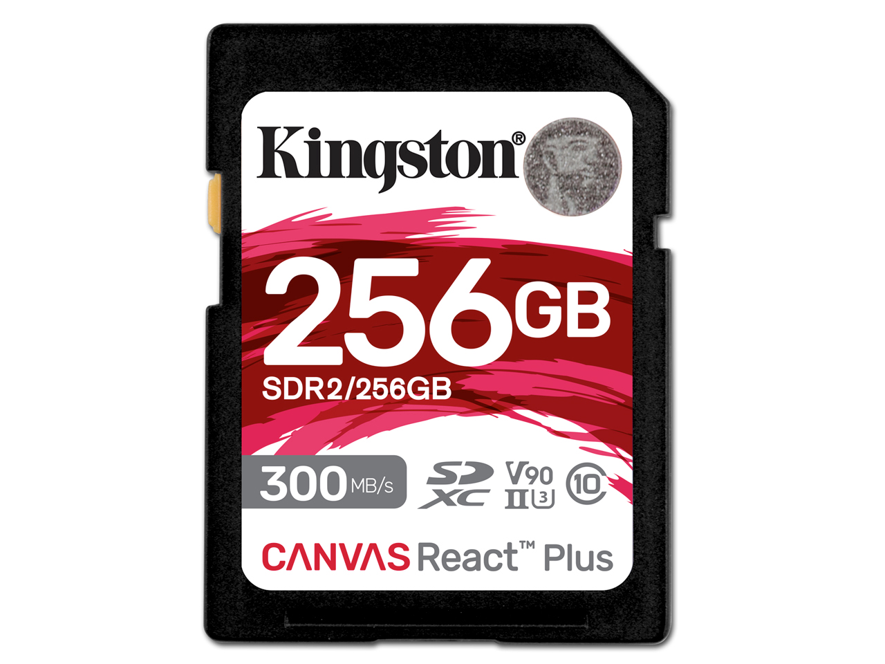 SDR2/256GB [256GB] �̐��i�摜