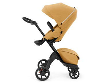 �G�N�X�v���[���[ X [�S�[���f���C�G���[] �̐��i�摜