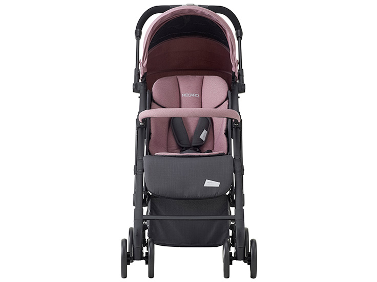 ���J�� Easylife Elite 2 [�y�[�����[�Y]
