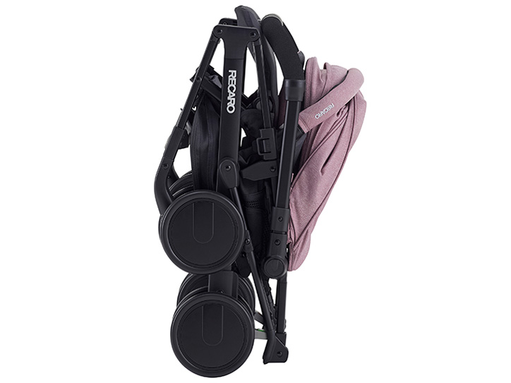 ���J�� Easylife Elite 2 [�y�[�����[�Y]