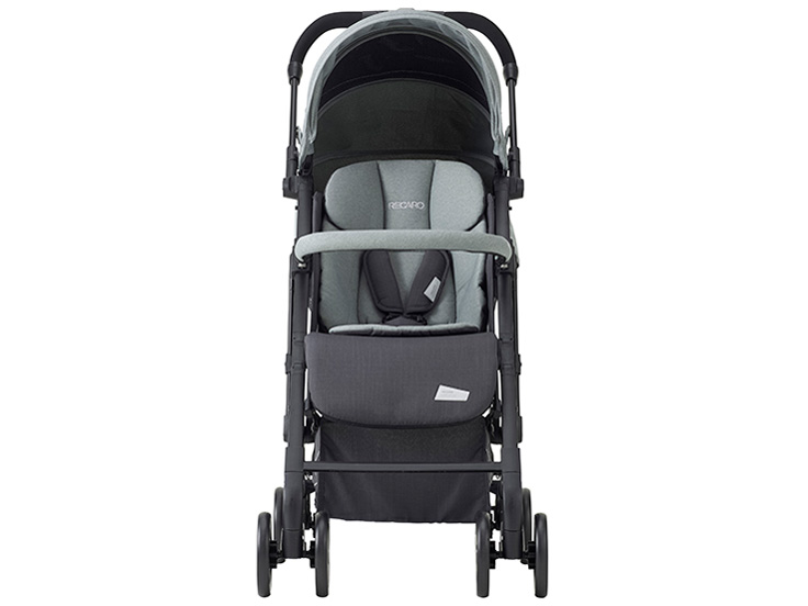 ���J�� Easylife Elite 2 [�T�C�����g�O���[]