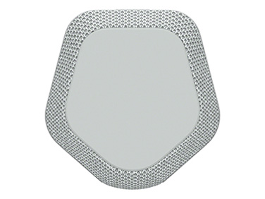 SRS-XE200 (H) [���C�g�O���[]