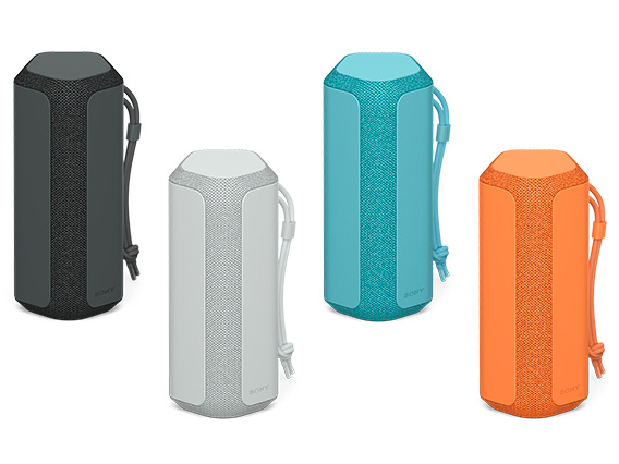 SRS-XE200 (H) [���C�g�O���[]