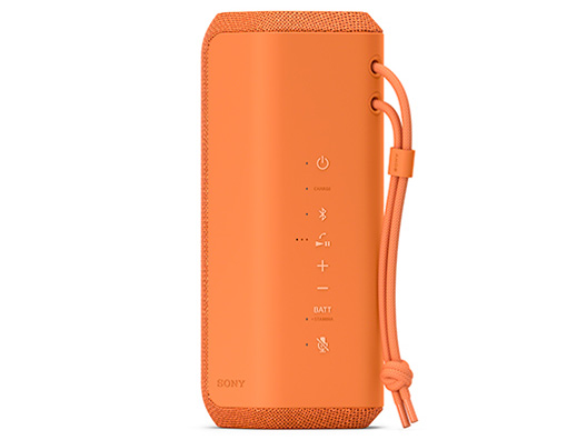 SRS-XE200 (D) [�I�����W]