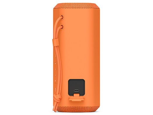 SRS-XE200 (D) [�I�����W]