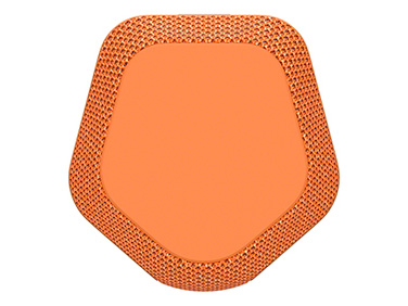 SRS-XE200 (D) [�I�����W]