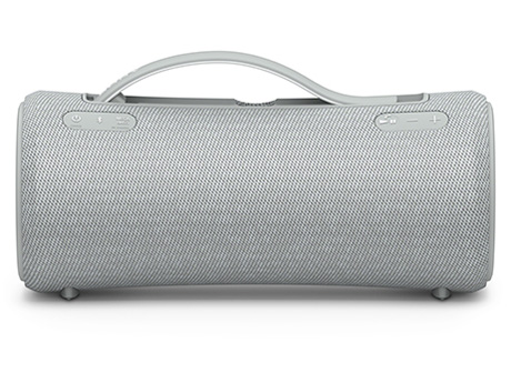 SRS-XG300 (H) [���C�g�O���[]