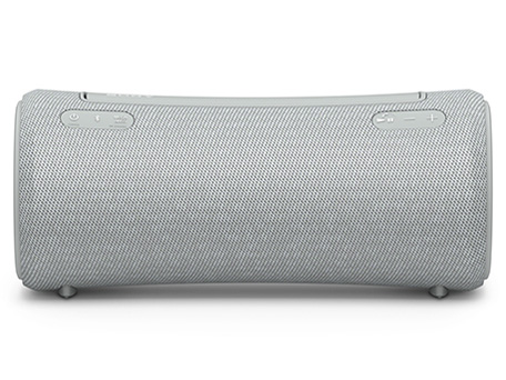 SRS-XG300 (H) [���C�g�O���[]