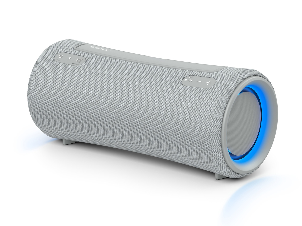 SRS-XG300 (H) [���C�g�O���[]