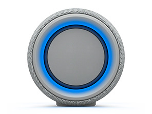 SRS-XG300 (H) [���C�g�O���[]