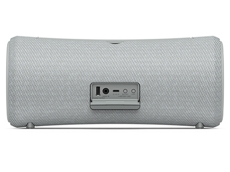 SRS-XG300 (H) [���C�g�O���[]