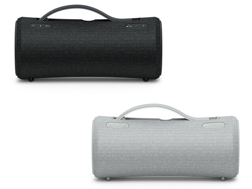 SRS-XG300 (H) [���C�g�O���[]