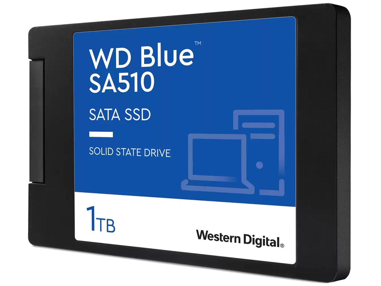 WD Blue SA510 SATA WDS100T3B0A