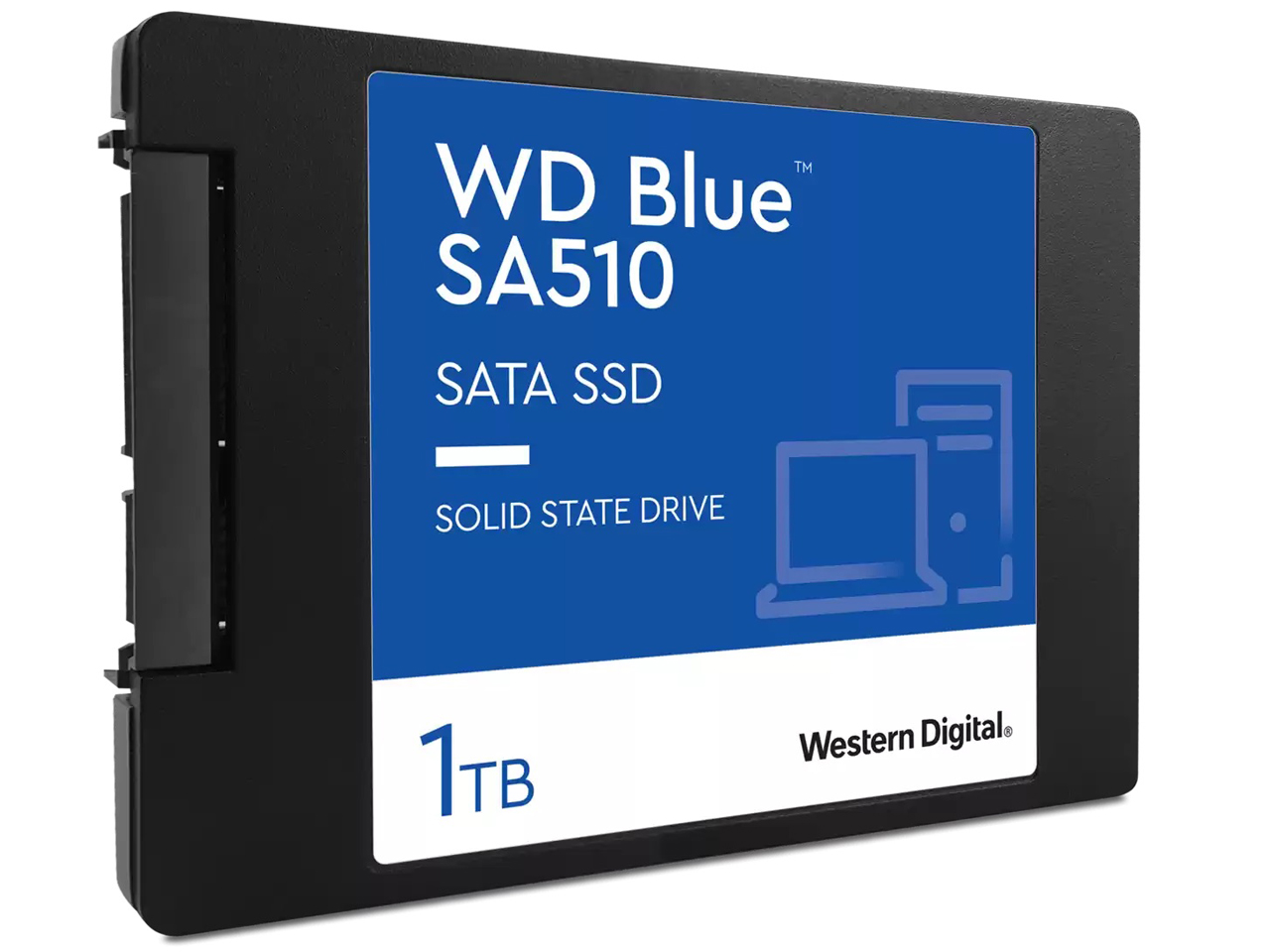WD Blue SA510 SATA WDS100T3B0A