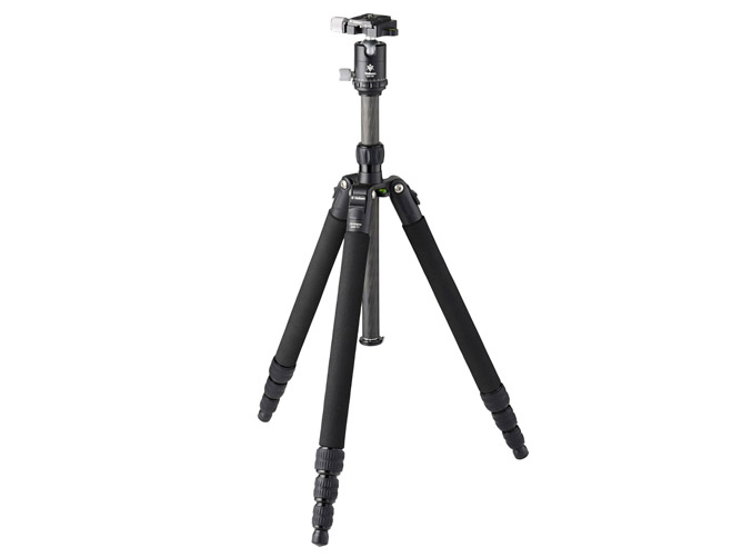 Carmagne N443 TT �̐��i�摜