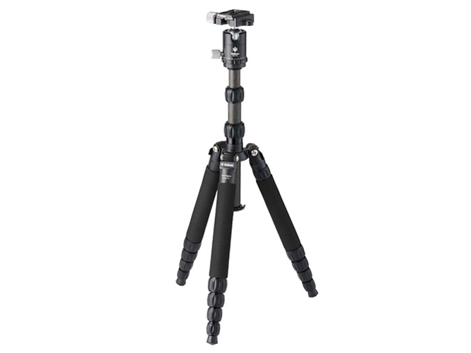 Carmagne N453 TT �̐��i�摜