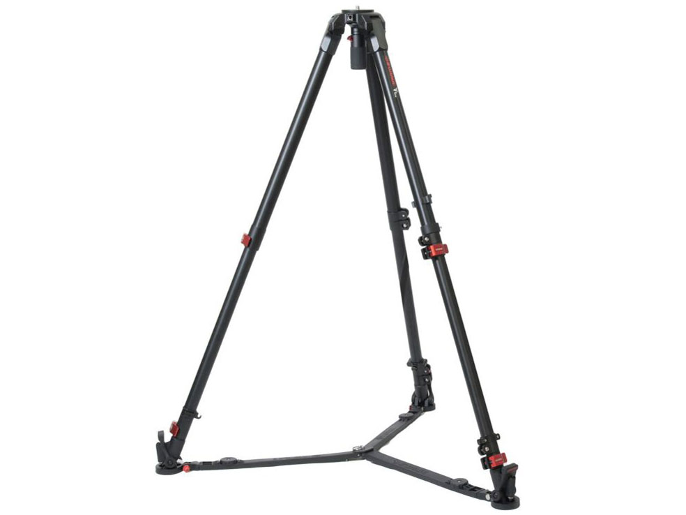 Wild Bull T5S �̐��i�摜