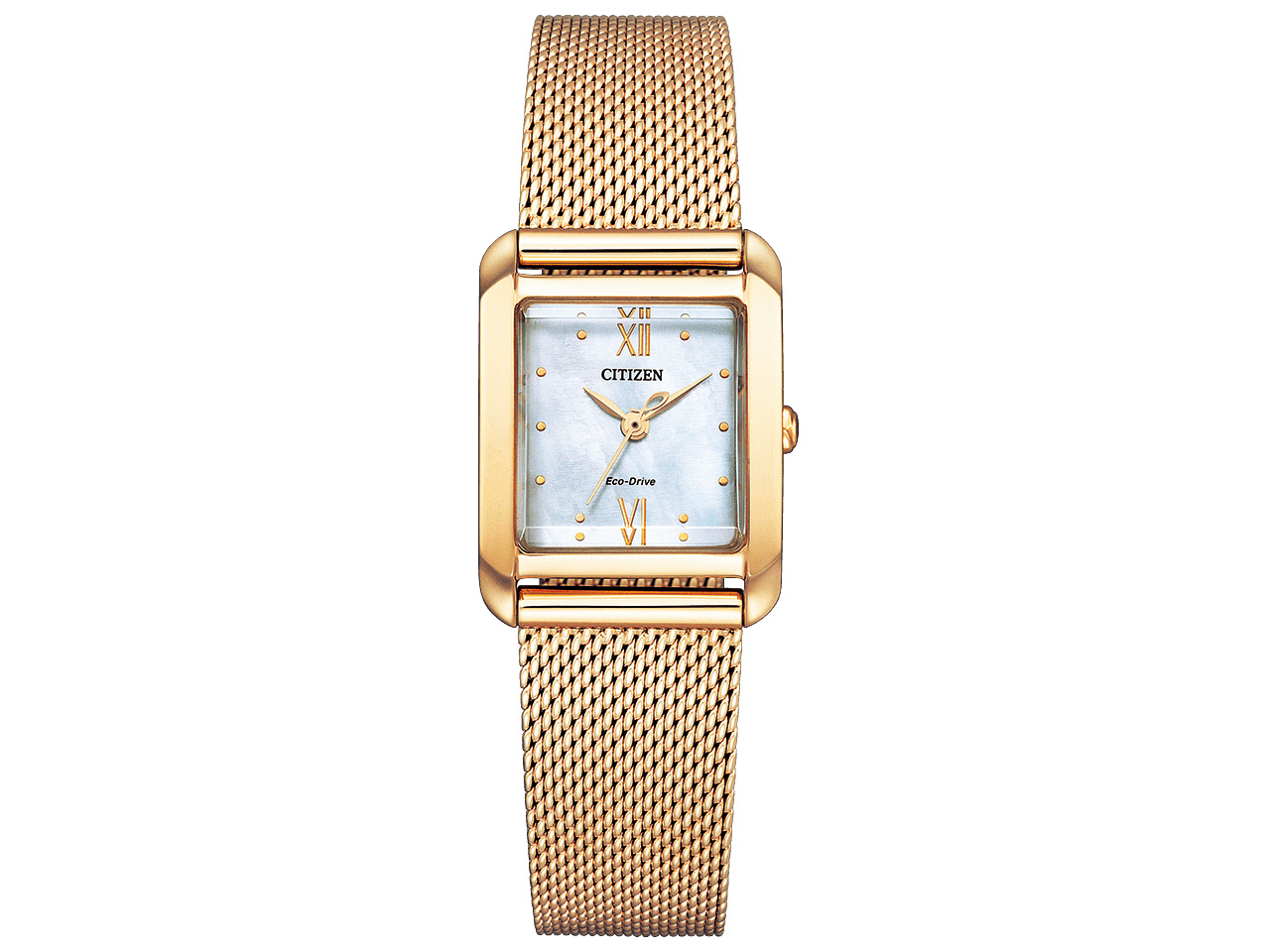 �V�`�Y�� �G�� �X�N�G�A EW5593-64D �̐��i�摜