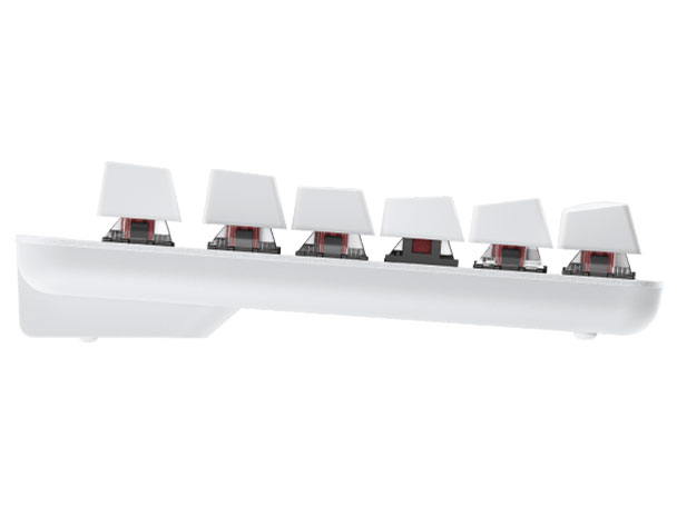 SIGNATURE K855 K855OW �Ԏ� [�I�t�z���C�g]