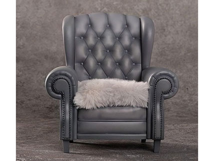 SSR-FIGURE �ِl�� �ʘ�� �o�j�[Ver.