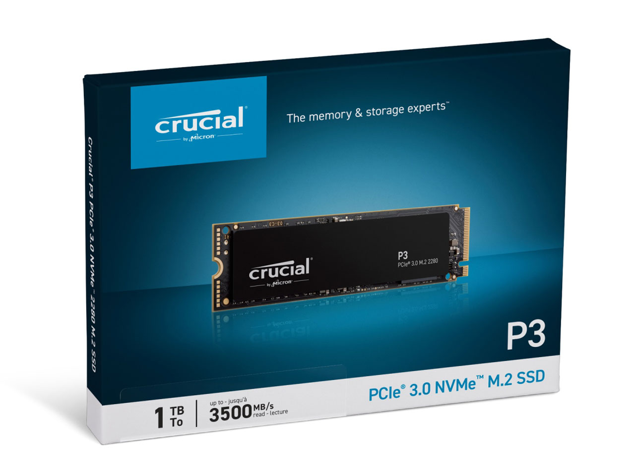 P3 CT1000P3SSD8JP
