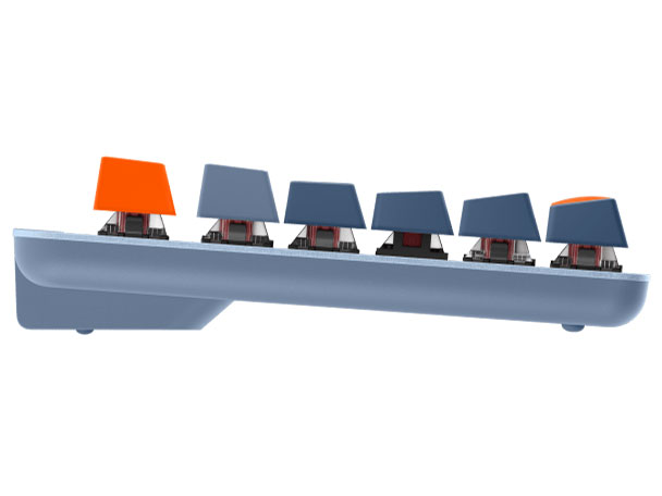 SIGNATURE K855 K855BG �Ԏ� [�u���[�O���[]